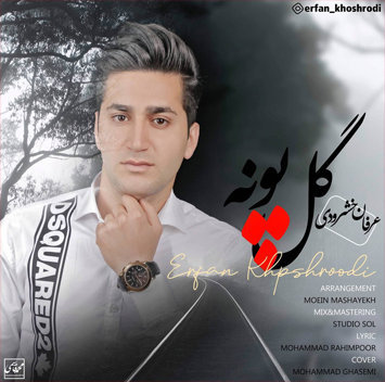 عرفان خشرودی گل پونه